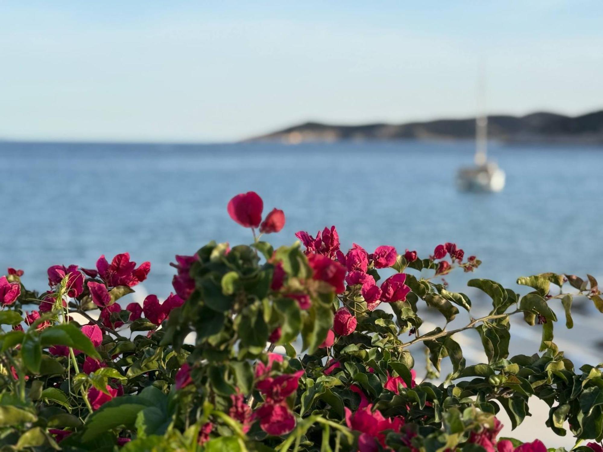 Kohylia Beach Guest House Platis Gialos  エクステリア 写真